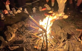 78vaqtsfoo_____IMG_20240918_164148277