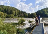IMG_20240918_154237507.jpg