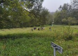 IMG_20241008_102846883.jpg