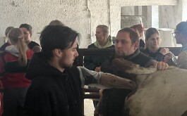 1ijrikfl8r_____obrázek