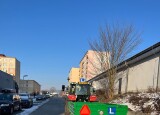 IMG-20250219-WA0006.jpg
