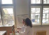 IMG-20250327-WA0005.jpg