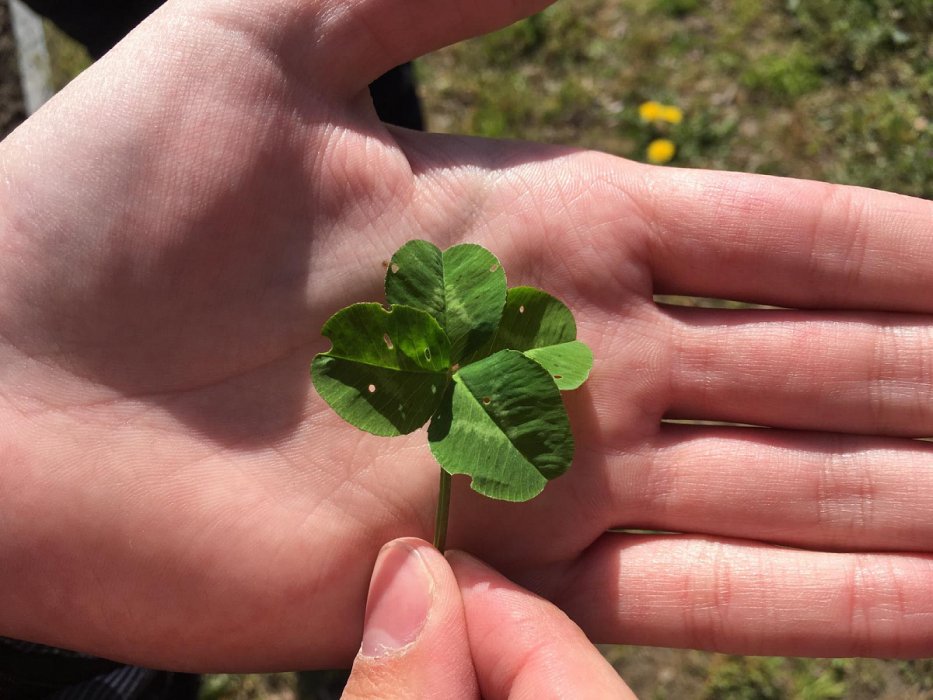 Ekologická soutěž v botanické zahradě