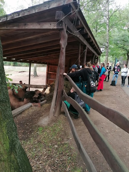 Exkurze do Zooparku Chomutov