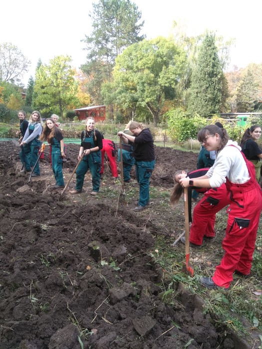 Praxe 1.CH v Botanické zahradě